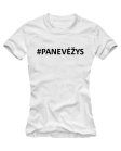 Panevėžys Panevėžys